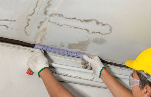 Reliable Structural Drying contractor in Henderson, MI by Water Damage Irwin